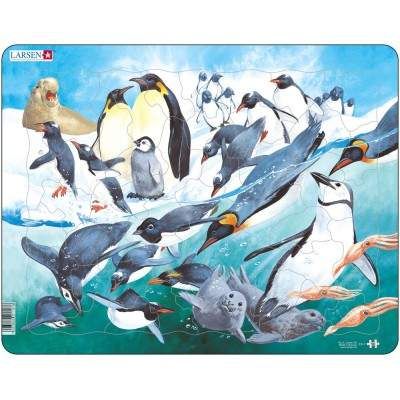 Spiel 6348.0